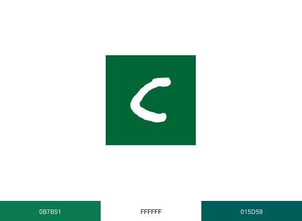 Concern Worldwide brand color palette